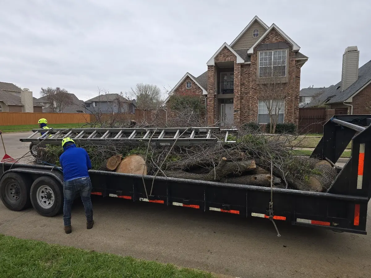 Expert Tree Removal with proper safety equipment in Bedford Park